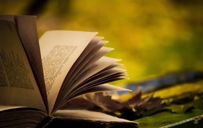 книга