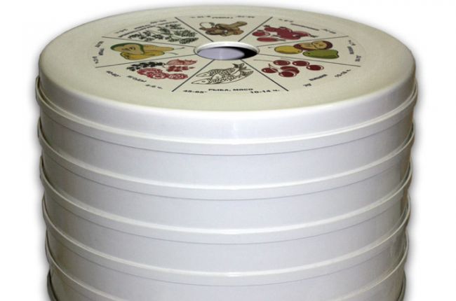 Sushka-Rotor-ssh-002-06.jpg