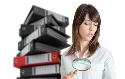 Auditor.2.jpg