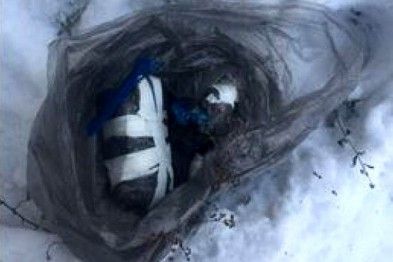04-611x436_148127640481.jpg