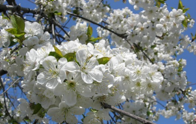2014-01-12_162908qw.png